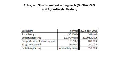 Stromsteuerantrag